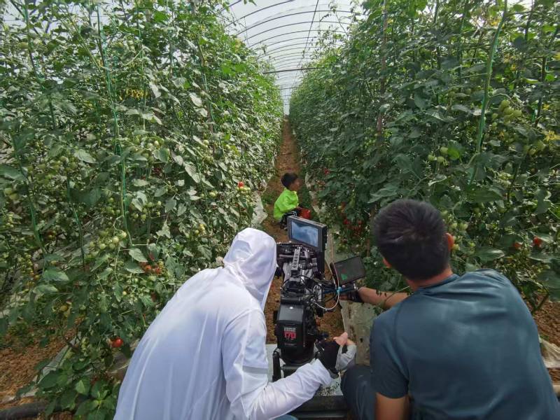 二道江区产品宣传视频拍摄公司进阶指南，助力品牌抢占传播高地